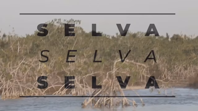 Documental Filiberto